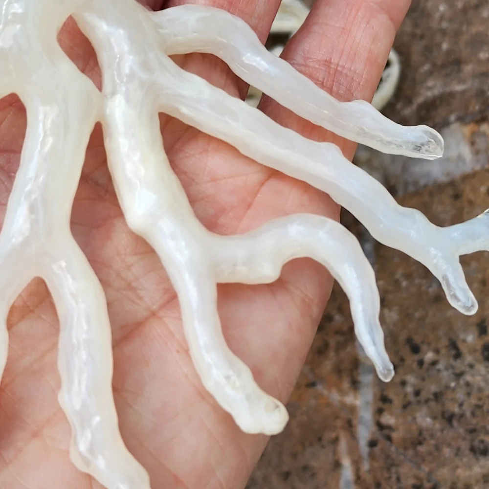 Artisan Boho Raw boyfriend Cut Choker White Coral Concept Accessory Shabby Chic - Picture 7 of 13